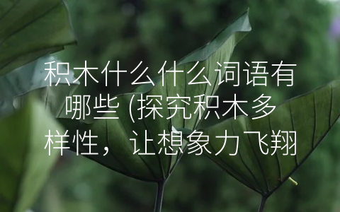 积木什么什么词语有哪些 (探究积木多样性，让想象力飞翔)