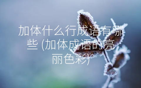 加体什么行成语有哪些 (加体成语的亮丽色彩)