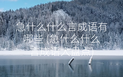 急什么什么言成语有哪些 (急什么什么言成语大盘点)