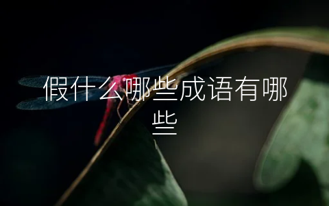 假什么哪些成语有哪些