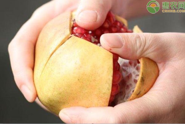 石榴是什么季节的水果 石榴选红皮的好还是黄皮的好