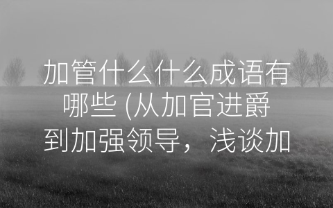 加管什么什么成语有哪些 (从加官进爵到加强领导，浅谈加管什么什么成语)