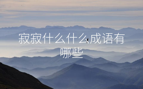 寂寂什么什么成语有哪些