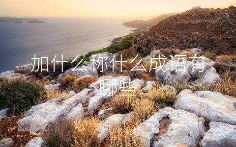 加什么称什么成语有哪些