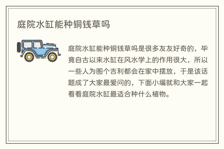 庭院水缸能种铜钱草吗