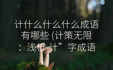计什么什么什么成语有哪些 (计策无限：浅析-计”字成语的重要意义)