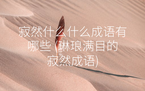 寂然什么什么成语有哪些 (琳琅满目的寂然成语)