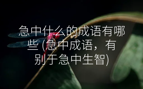 急中什么的成语有哪些 (急中成语，有别于急中生智)