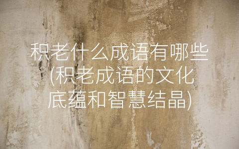 积老什么成语有哪些 (积老成语的文化底蕴和智慧结晶)