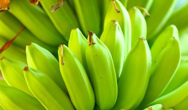 种香蕉用什么肥料好 又省钱 香蕉中果期用什么肥料好