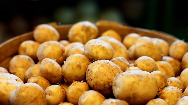 楼房土豆怎样储存才不发芽,南方的土豆怎样保存才放得更久图5