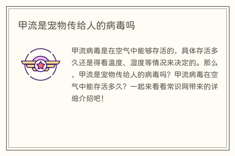 甲流是宠物传给人的病毒吗