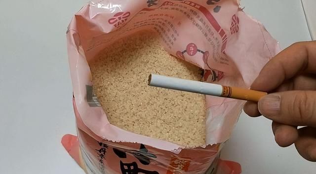 夏季大米生虫应该放点什么图4