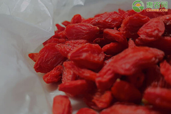 枸杞子几月份收获 怎样保存