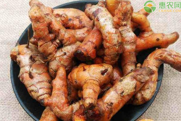 南姜原产地是哪 和生姜的区别是什么