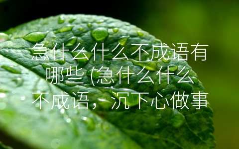 急什么什么不成语有哪些 (急什么什么不成语，沉下心做事成大器)