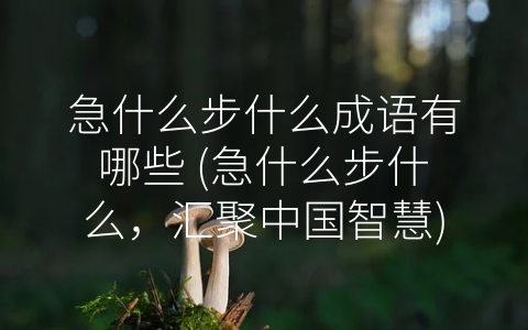 急什么步什么成语有哪些 (急什么步什么，汇聚中国智慧)
