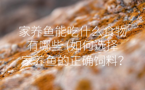 家养鱼能吃什么食物有哪些 (如何选择家养鱼的正确饲料？)