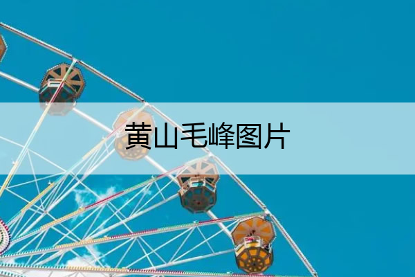 黄山毛峰图片 黄山毛峰图片高清