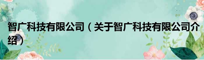 智广科技有限公司 关于智广科技有限公司介绍