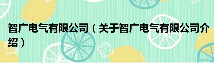 智广电气有限公司 关于智广电气有限公司介绍