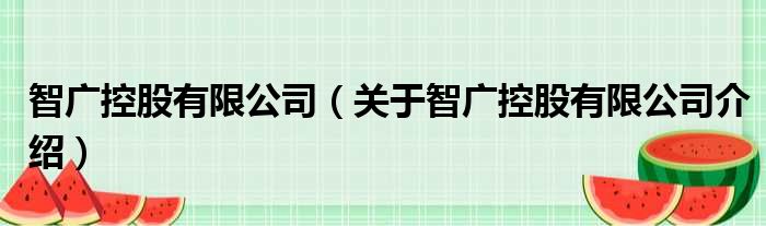 智广控股有限公司 关于智广控股有限公司介绍