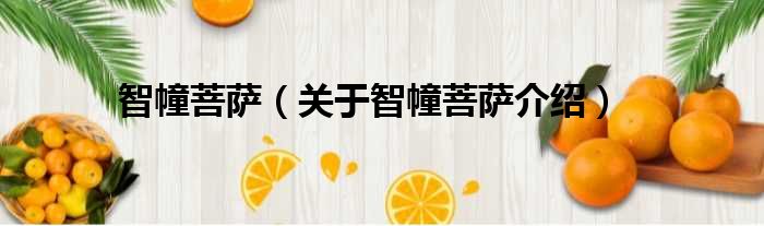 智幢菩萨 关于智幢菩萨介绍