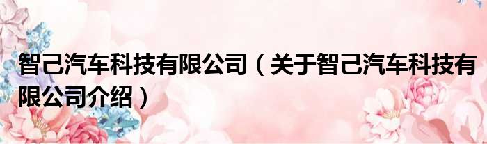 智己汽车科技有限公司 关于智己汽车科技有限公司介绍