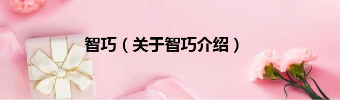 智巧 关于智巧介绍