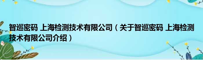 智巡密码 上海检测技术有限公司 关于智巡密码 上海检测技术有限公司介绍