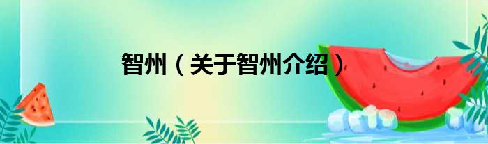 智州 关于智州介绍