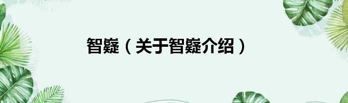 智嶷 关于智嶷介绍