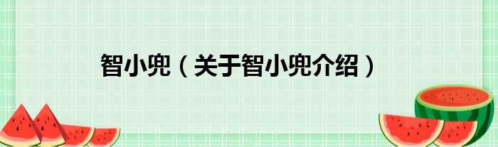 智小兜 关于智小兜介绍
