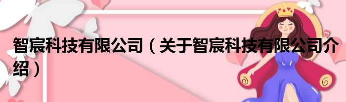 智宸科技有限公司 关于智宸科技有限公司介绍