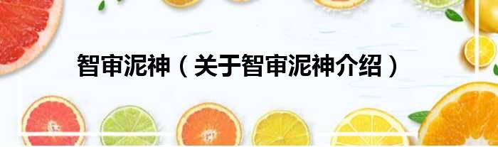 智审泥神 关于智审泥神介绍