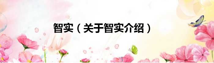 智实 关于智实介绍