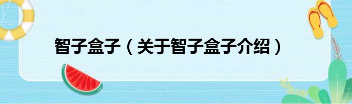 智子盒子 关于智子盒子介绍