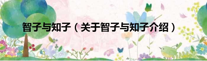 智子与知子 关于智子与知子介绍