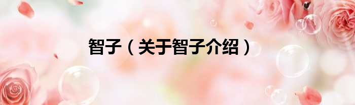 智子 关于智子介绍