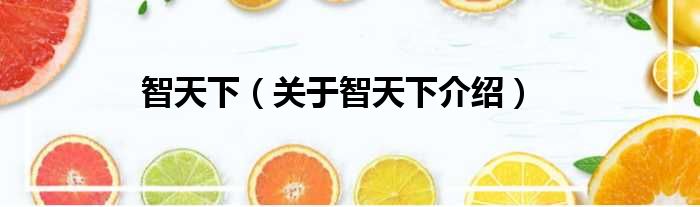 智天下 关于智天下介绍