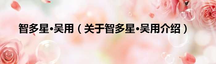 智多星·吴用 关于智多星·吴用介绍