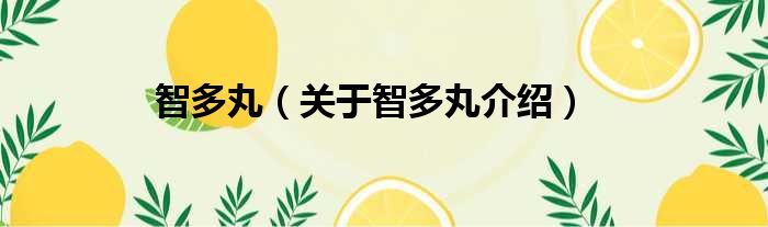 智多丸 关于智多丸介绍