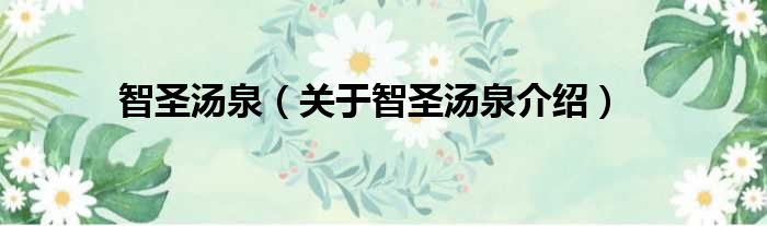 智圣汤泉 关于智圣汤泉介绍