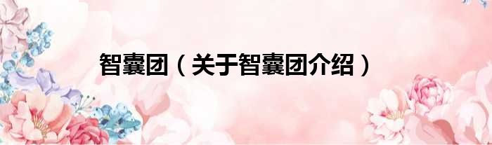 智囊团 关于智囊团介绍