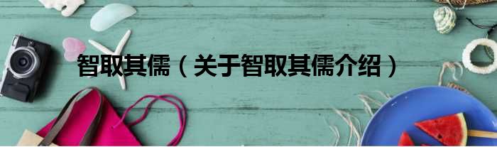 智取其儒 关于智取其儒介绍