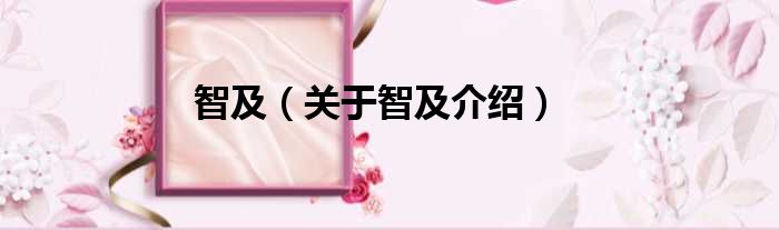 智及 关于智及介绍