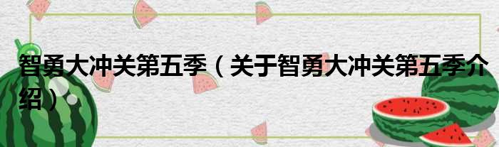 智勇大冲关第五季 关于智勇大冲关第五季介绍