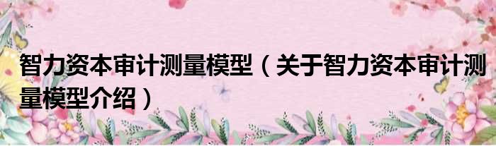 智力资本审计测量模型 关于智力资本审计测量模型介绍
