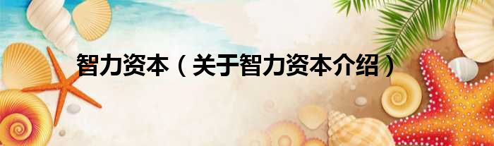 智力资本 关于智力资本介绍