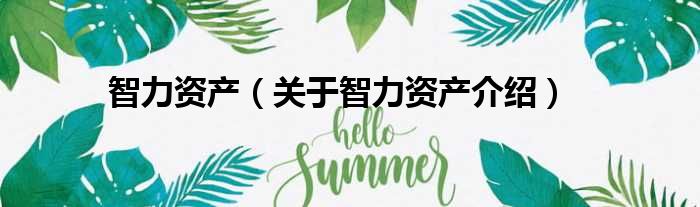 智力资产 关于智力资产介绍